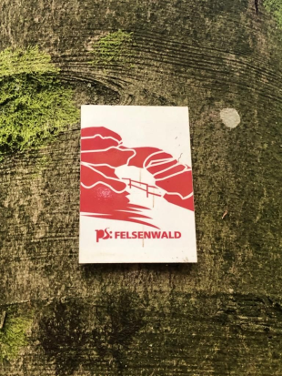 Felsenwald-Tour_Juni_2021